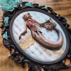 May include: An anatomical sculpture of a mermaid, displayed in an ornate black oval frame. The mermaid's internal organs are visible. The frame is adorned with a light blue ribbon. A small tag reads "Merewifikus Sirenia".