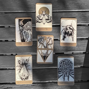 Baraja de cartas del Tarot de arcanos mayores de adivinación de insectos de entomología, insectos y arácnidos dorados detallados e ilustrados, polillas dibujadas a mano, arañas,