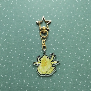 Acryl sleutelhanger gevleugelde engel kikker, kawaii engelachtige kikker bedel, sleutelhanger gouden stersluiting,