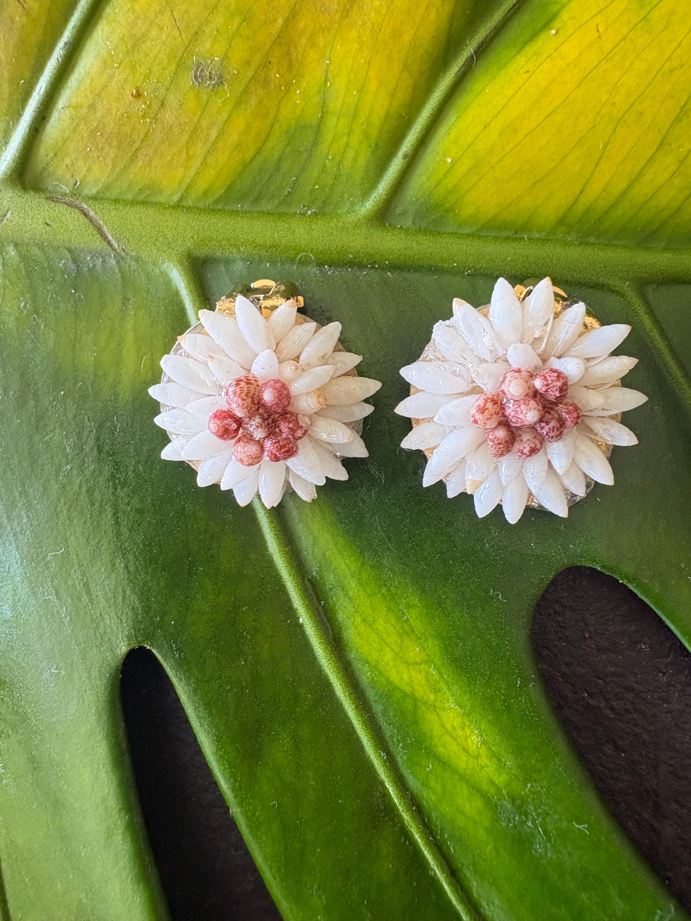 Niihau shells - Etsy 日本