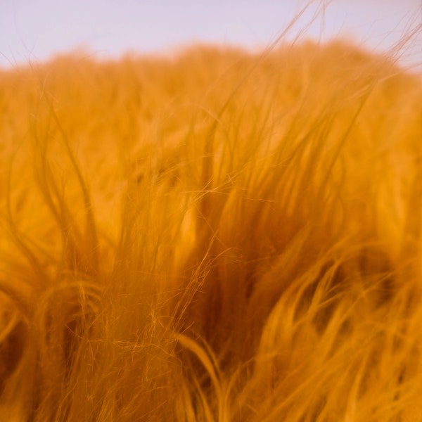 Mustard Mongolian Fur Fabric by the yard, Soft Fake Fur Fabric, Newborn Fur, Faux fur Coat, Vest, Throws, Pillows - Style 5000