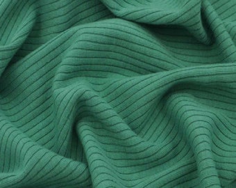Stylish Fabric Rayon Spandex 2x1 Rib Knit Stretch Fabric (Sample Swatch  (7x10), Green Dusty)