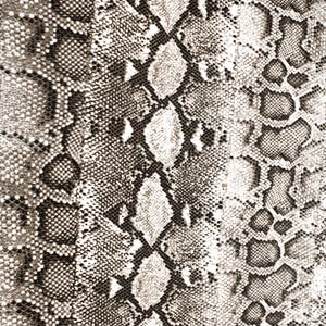 Off White Neutral Snake Skin Design Printed Scuba Crepe Techno Knit Fabric by the Yard-Style P-954-702
