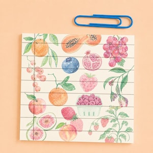 May include: A square notepad with horizontal lines featuring a watercolor illustration of various fruits including oranges, papaya, grapes, blueberries, pomegranate, strawberries, raspberries in a basket, peaches, and figs, with a blue paper clip.