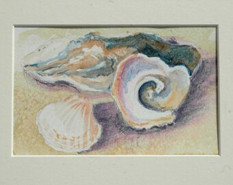 Original Watercolor Painting of Shells Matted or Framed, Shell painting, Watercolor painting, Beach decor, Beach Art