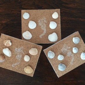 Shell Push pins, Seashell Thumbtacks, Cute Office Décor, White, Gray, Teacher coworker gift, Office Supplies, Beach Decor, Coastal Farmhouse