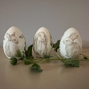 May include: Three white Easter eggs decorated with rabbit illustrations in grey tones. The eggs are displayed on a light surface, complemented by green foliage. A charming, spring-themed decorative item.