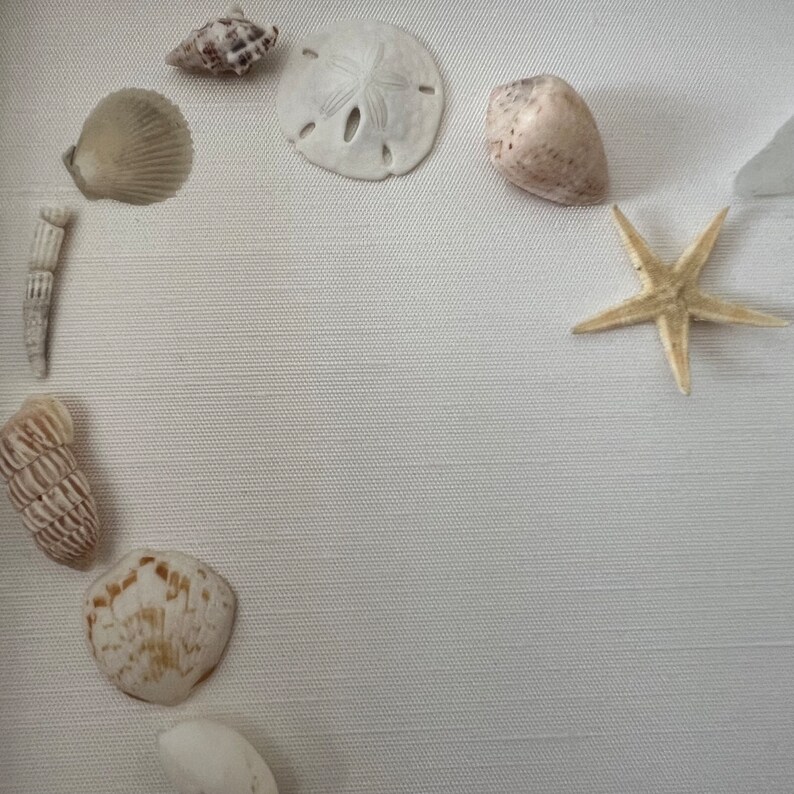Open heart shell in a White Shadow Box Frame, Coastal Decor, Heart Mosaic, Seashell wall art, Mother's day gift, pink, beach wedding image 4