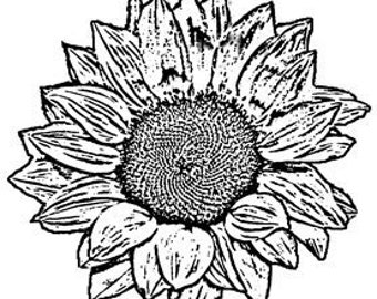 Thermofax Stemmed Sunflower Screen