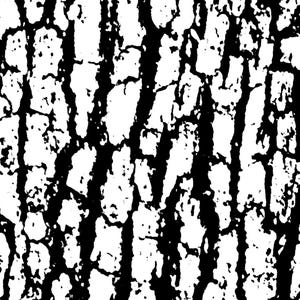 Thermofax Screen Tree Bark