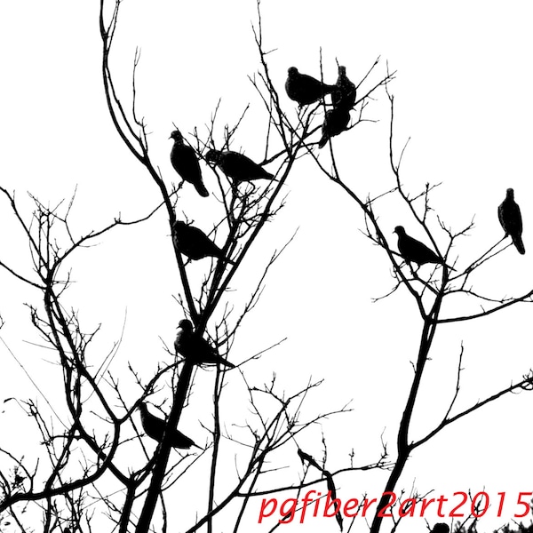 Thermofax Birds in a Tree Screen