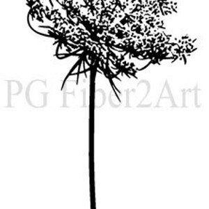 Thermofax Biombo Queen Anne's Lace, abierto imagen 1