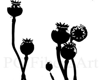 Thermofax Screen Poppy Heads