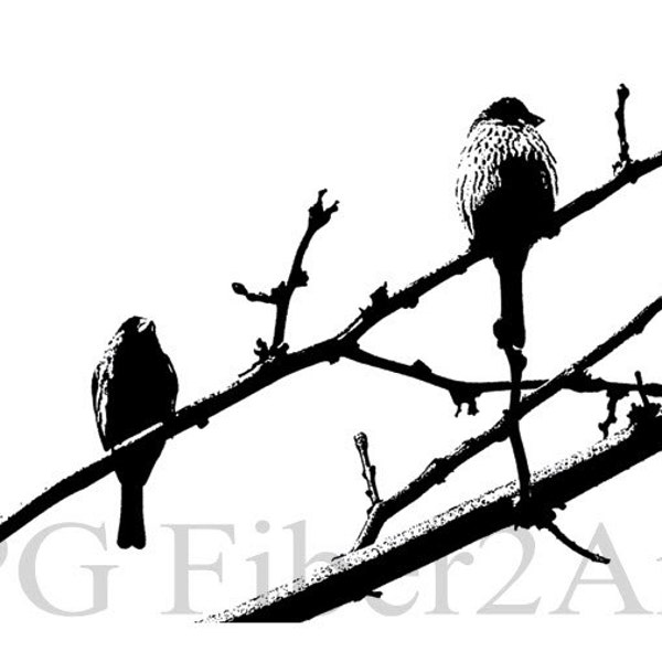 Thermofax Birds on Branch Screen