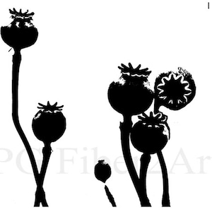 Thermofax Screen Poppy Heads