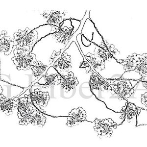 Thermofax Screen Cherry Blossoms image 1