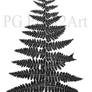 Thermofax Screen Fern image 1