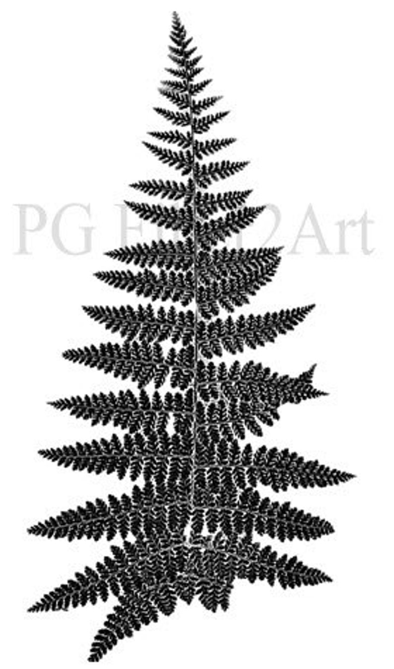 Thermofax Screen Fern image 1