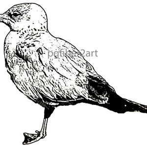 Thermofax Seagull Screen
