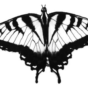 Thermofax Screen Small Butterfly