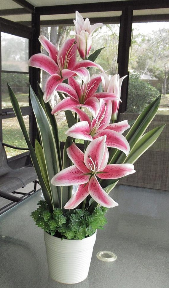 yellow flower lily Shop Tiny Massive Asiatic Lily Bulbs