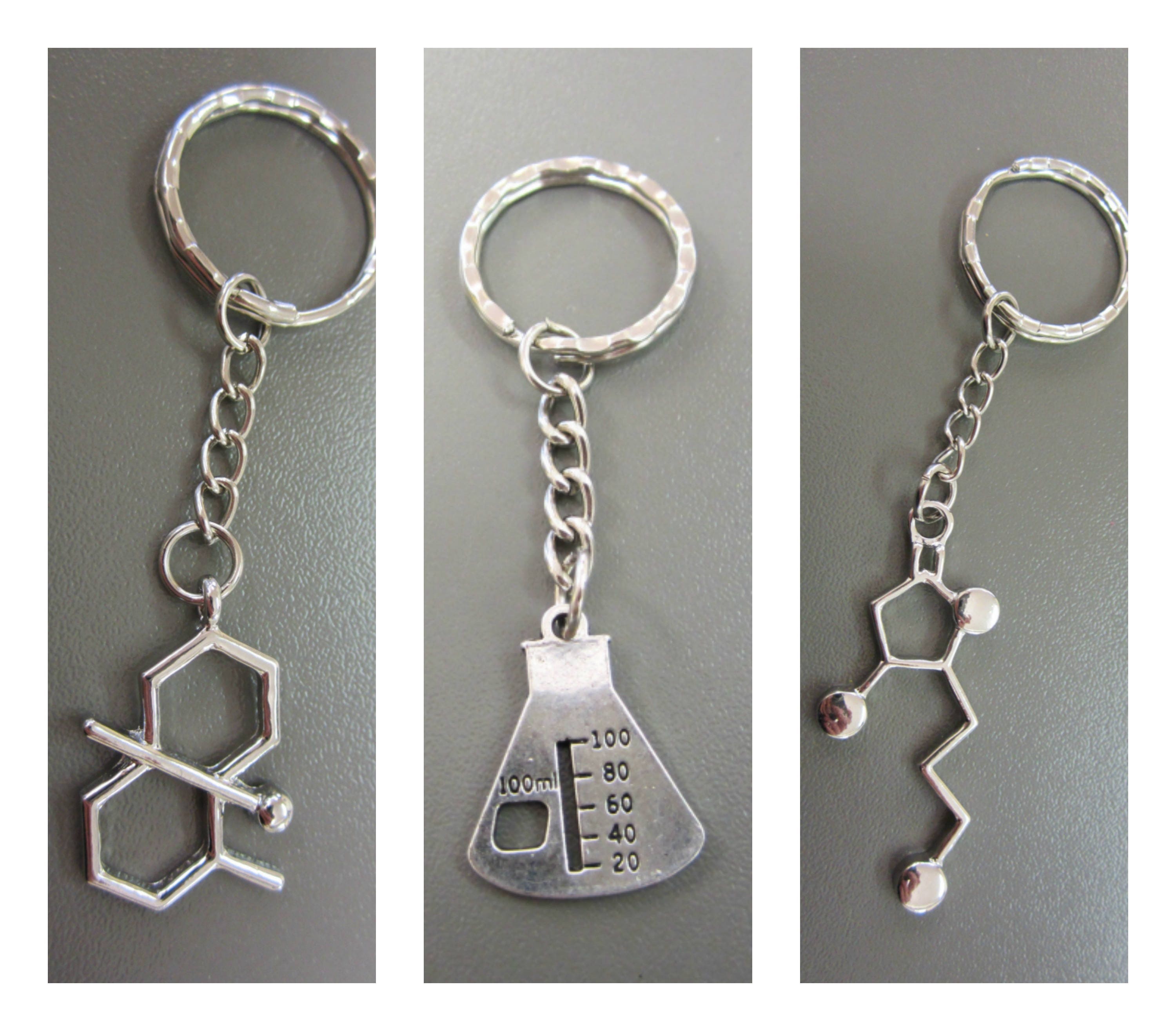 Science Keyring Science Key Ring Science Key Charm Etsy