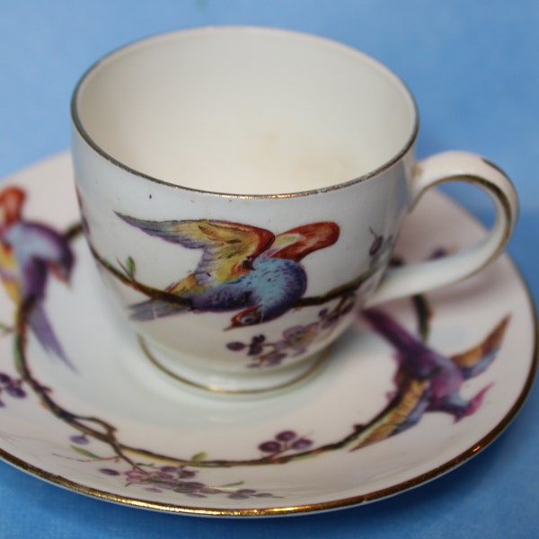 Rare Foley 1850 England Pheasant demi tasse cup and saucer