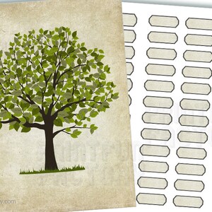 Op de afbeelding: Een print met een boom met groene bladeren en een bruine stam op een beige achtergrond. Rechts is een vel labels met een beige achtergrond en een donkergrijze rand. De afbeelding heeft een vintage esthetiek.