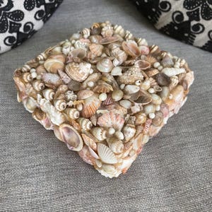 Seashell Box Trinket Box Jewelry Box Square Box