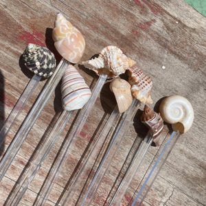 May include: A set of eight clear plastic stirrers, each topped with a unique natural seashell. The shells vary in color, including shades of white, tan, brown, and grey, and feature diverse spiral, conical, and textured shapes attached to the stems.