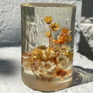 Daisyglas Lucite Paperweight with Real Dried Flowers and Butterfly