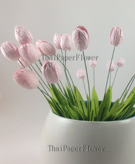 baby pink tulips