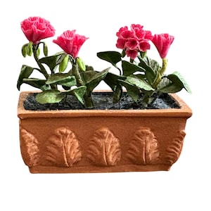 May include: A miniature terracotta planter box with a row of embossed leaf designs. The planter holds several green-leafed plants with vibrant pink flowers. The flowers are in full bloom, adding a pop of color against the neutral tones of the planter.