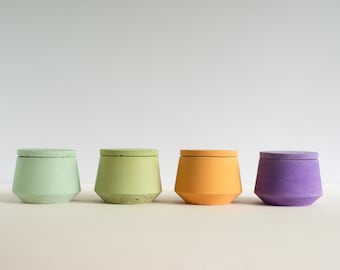 Tarro de pellizco con tapa para especias Jane Concrete Salt Cellar de 2 pulgadas - Colores del arco iris