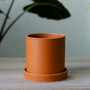 May include: A terracotta-colored cylindrical planter with a matching round saucer. The planter has a smooth, matte finish and sits on a light-colored wooden surface. A large green plant is visible in the background.