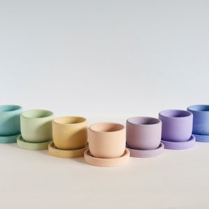 May include: A collection of seven small, cylindrical planters in a rainbow of pastel colors, each sitting on a matching saucer. The planters are arranged in a row against a white background, showcasing their smooth, matte finish.