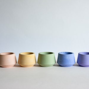 May include: Five small, pastel-colored concrete planters arranged in a row. The planters are in shades of pink, yellow, green, blue, and purple. Each planter has a rounded base and a slightly flared top, suitable for small plants or succulents.