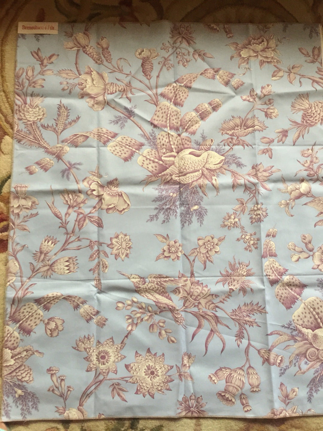 Beach Chic Shore English Shell Toile Print by Brunschwig&fil - Etsy