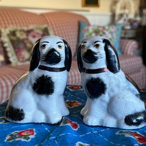 Angielski Country King Charles Staffordshire Dog Figurka Zestaw
