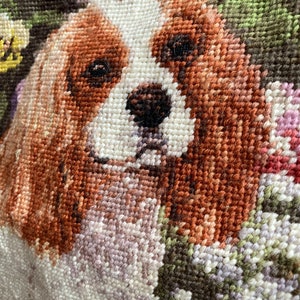 Puede incluir: Primer plano de un tapiz de punto de aguja con un perro Cavalier King Charles Spaniel marr&oacute;n y blanco sobre un fondo floral.