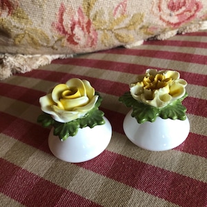 Shabby Chic Cottage English Aynsley Flowers Salt and Pepper Shakers