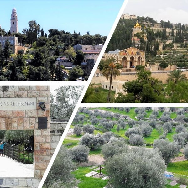 Christian Zoom Backgrounds Etsy