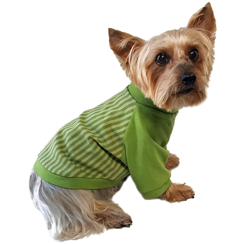 Dog Tee Shirt Sewing Pattern 1764 Dog T Shirts Dog Shirts Etsy