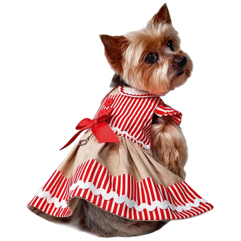 K&ouml;nnte beinhalten: Ein kleiner Hund, der ein rot-wei&szlig; gestreiftes Kleid mit braunem Oberteil und wei&szlig;er Spitzenborte tr&auml;gt. Das Kleid hat eine rote Schleife an der Taille.