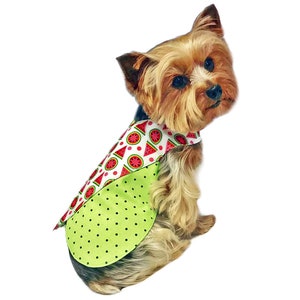 May include: A small, brown and tan dog wearing a green and white watermelon print dog bandana. The bandana has a green polka dot pattern on the bottom half and a white background with red watermelon slices on the top half.