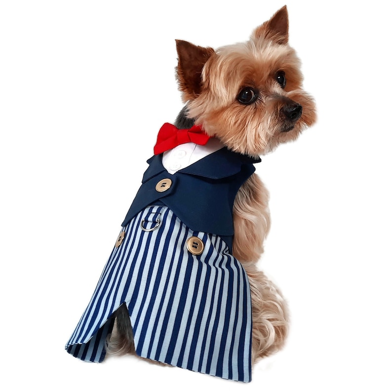 Maisie Dog Suit and Dog Dress Sewing Pattern 1539 Wedding Etsy