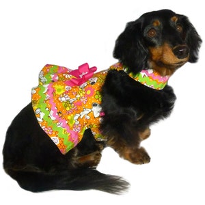 Kati Lou Dog Dress and Dog Blouse Sewing Pattern 1551 Dog Sewing Patterns Dog Dresses Pet Dog Apparel Pet Harness Bundle All Sizes image 3
