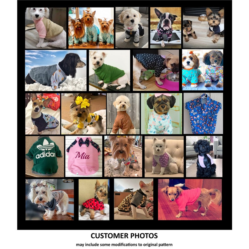 Dog Tee Shirt Sewing Pattern 1764 Dog Clothes Patterns Dog Etsy