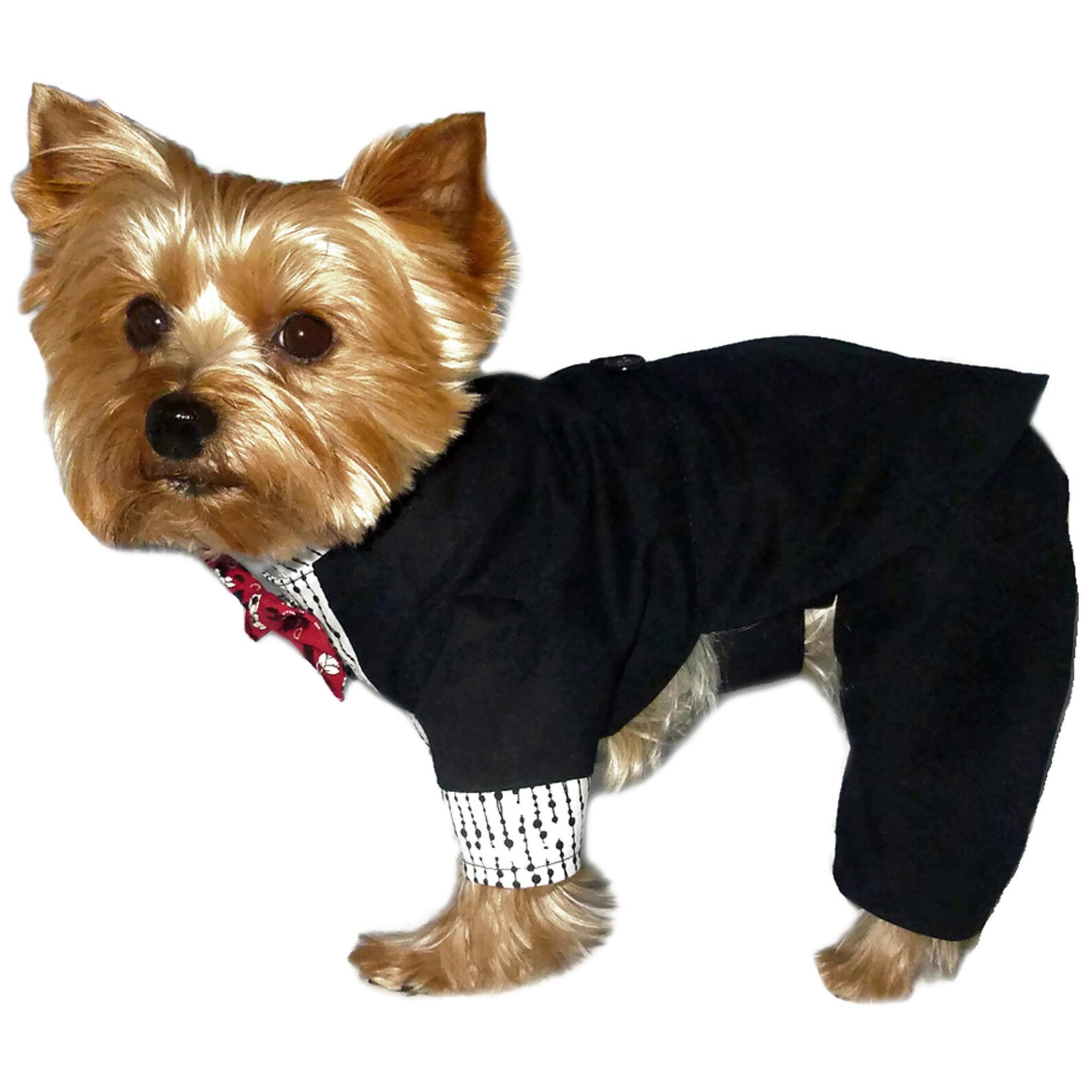 Dog Tuxedo Sewing Pattern 1792 Dog Wedding Attire Pet Cat Etsy