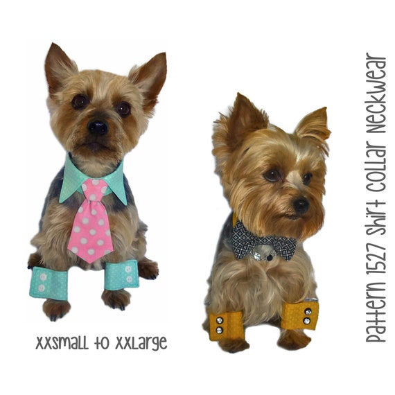 dog shirt collar pattern